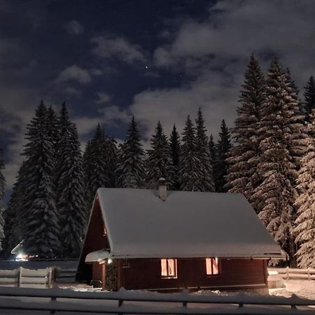 Cosy Chalet On Pokljuka - Brunarica Tinkara Zgornje Gorje Exterior foto