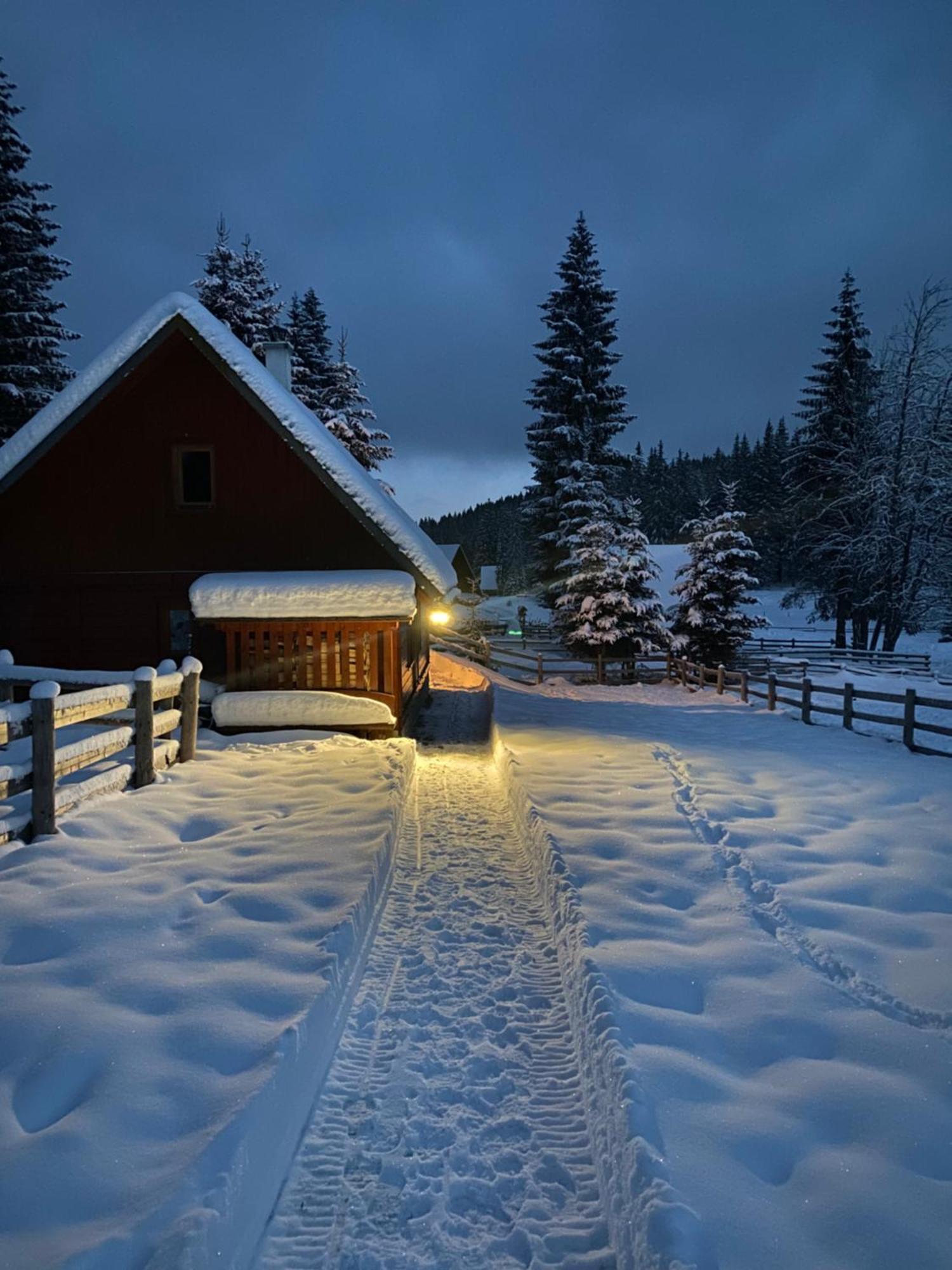 Cosy Chalet On Pokljuka - Brunarica Tinkara Zgornje Gorje Exterior foto